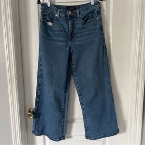 Banana Republic Flare Wide Leg Blue Jeans
